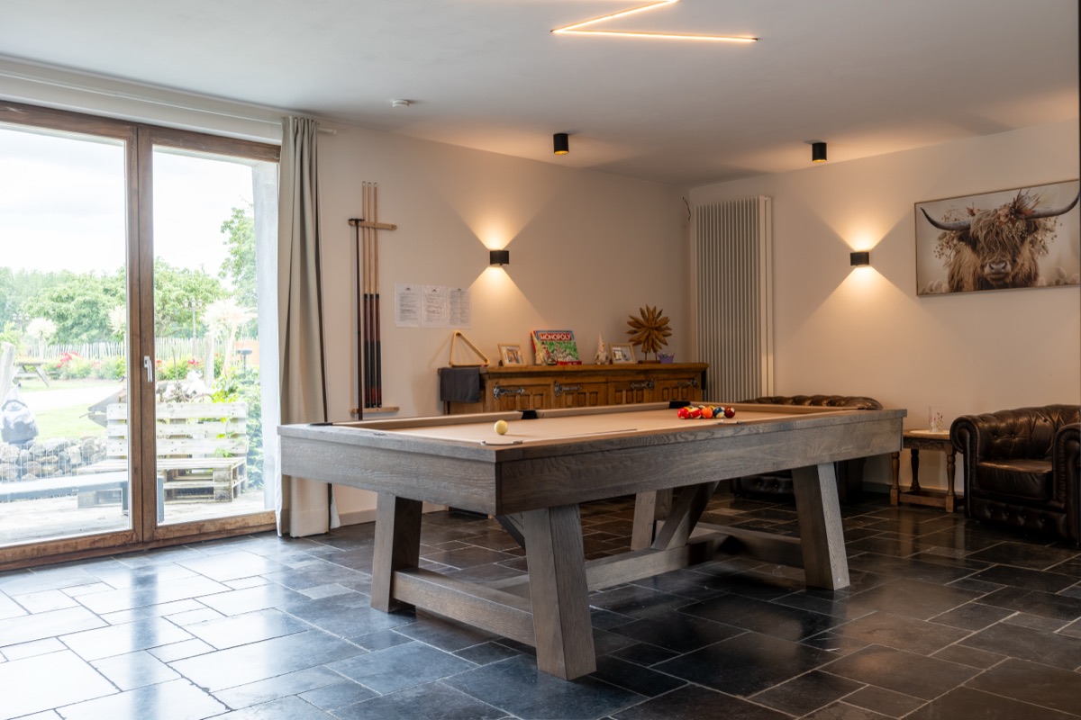 Pooltafel met zicht op de tuin — verblijf met spelkamer Massemen