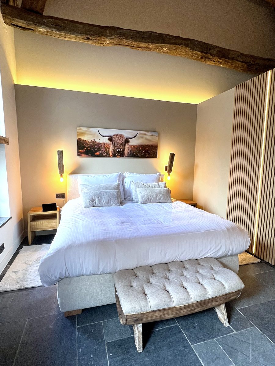 De Villaine — luxesuite met highland cow wandschildering B&B Burgemeestershof Wetteren
