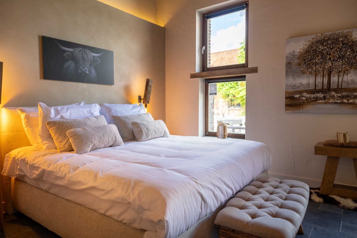 De Villaine — warm verlichte suite met zicht op de binnenplaats, B&B nabij Gent
